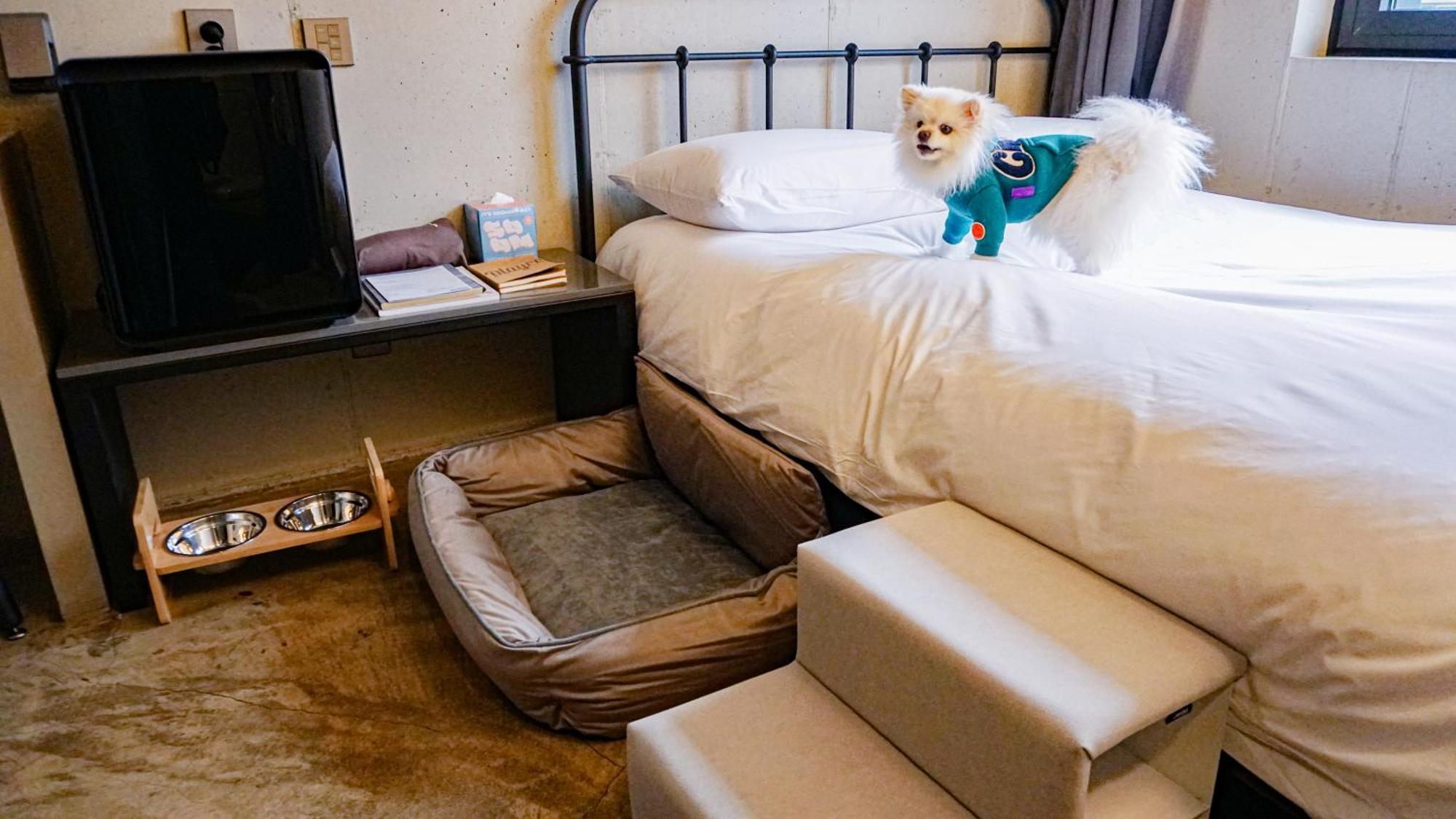 Playce Camp Jeju 4*